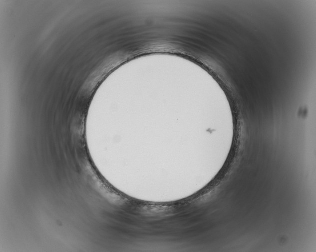 X0000111780841200909031131
