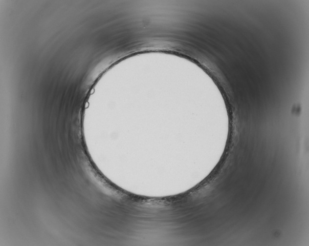 X0000111780842200909031131