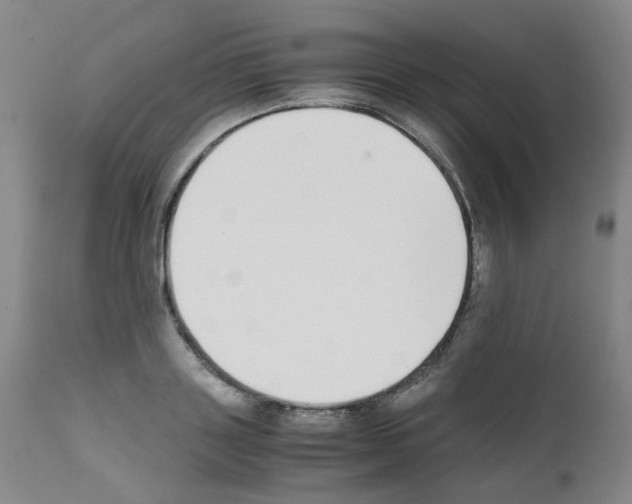 X0000111780843200909031131