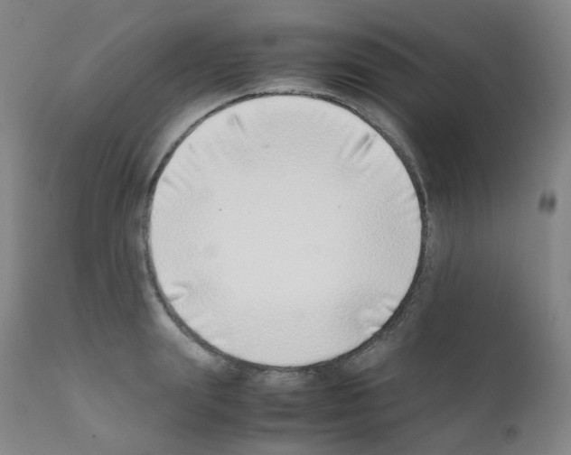 X0000111780847200909031131