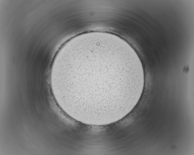 X0000111780848200909031131