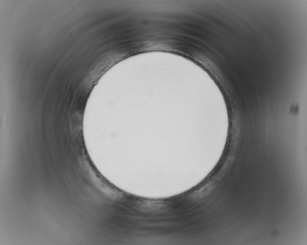 X0000111780849200909031131