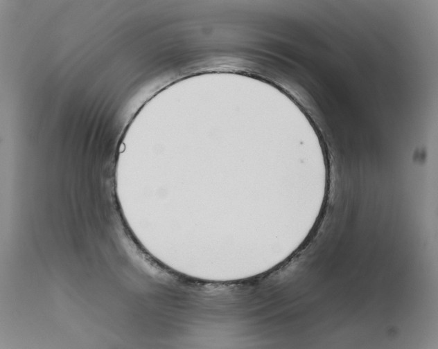X0000111780850200909031131