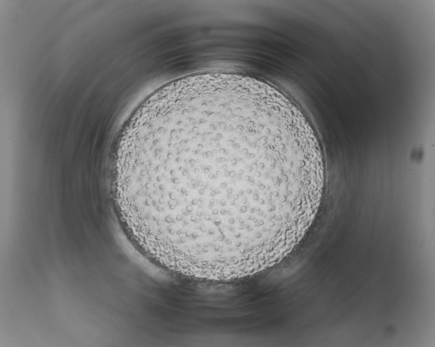 X0000111780851200909031131