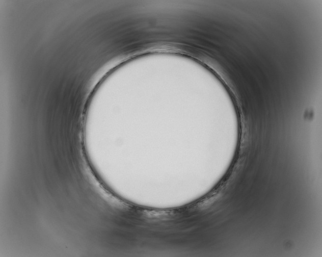 X0000111780853200909031131