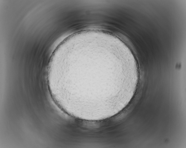 X0000111780855200909031131