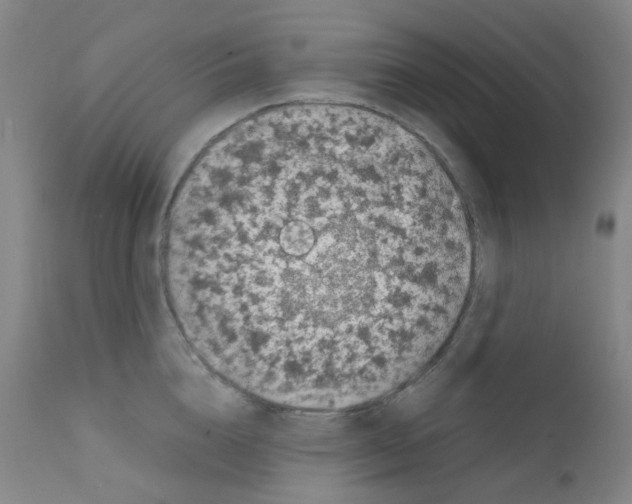 X0000111780856200909031131