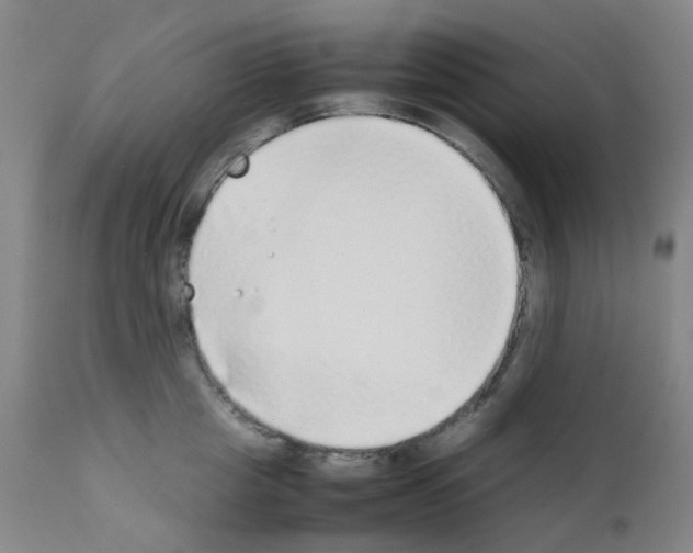 X0000111780857200909031131