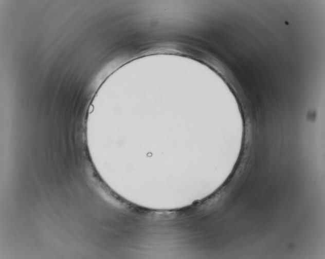 X0000111780858200909031131