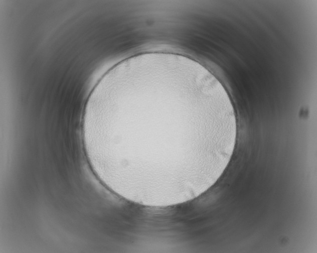 X0000111780863200909031131