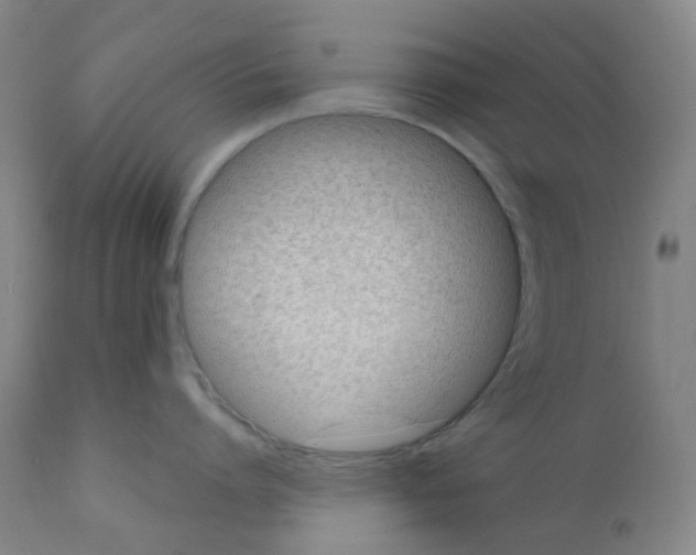 X0000111780864200909031131