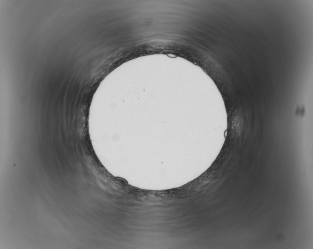 X0000111780868200909031131