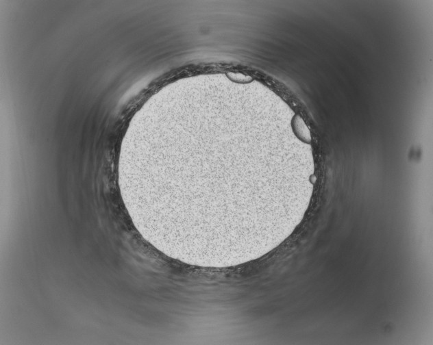 X0000111780871200909031131