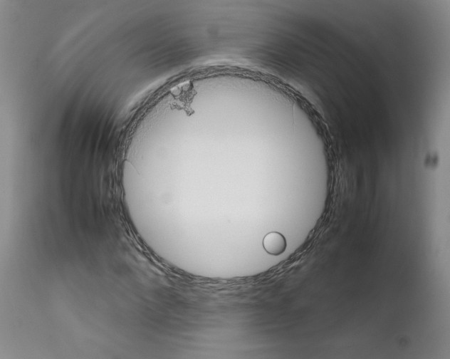 X0000111780872200909031131