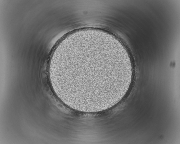 X0000111780875200909031131