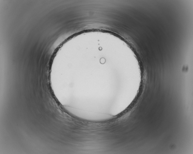 X0000111780877200909031131