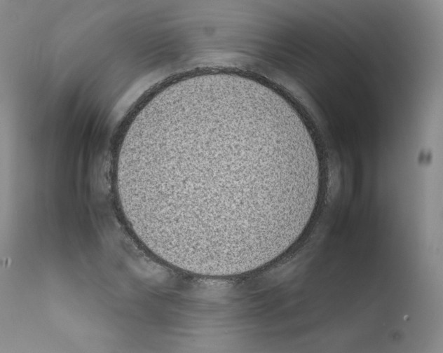 X0000111780878200909031131