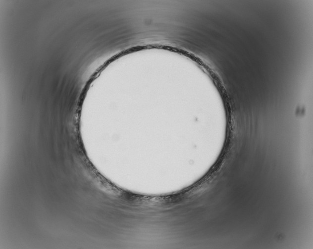 X0000111780879200909031131