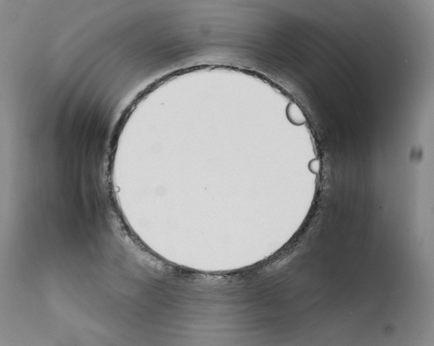X0000111780880200909031131