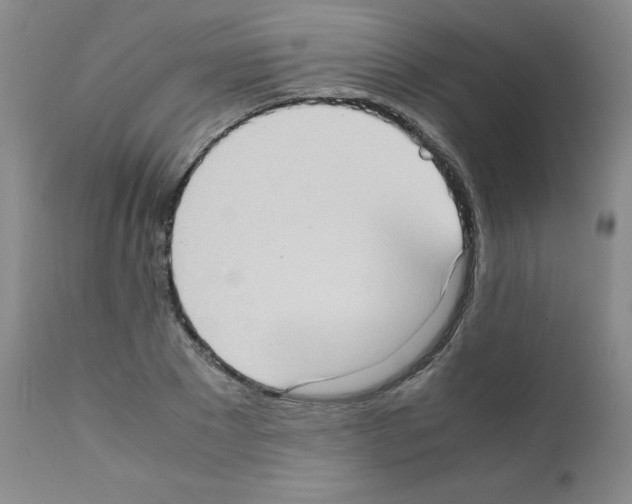 X0000111780881200909031131