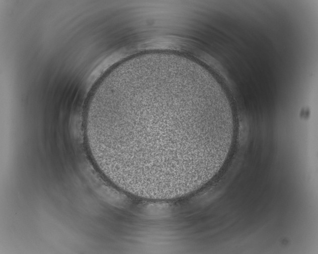 X0000111780882200909031131