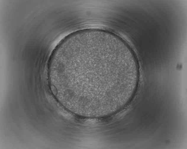 X0000111780883200909031131