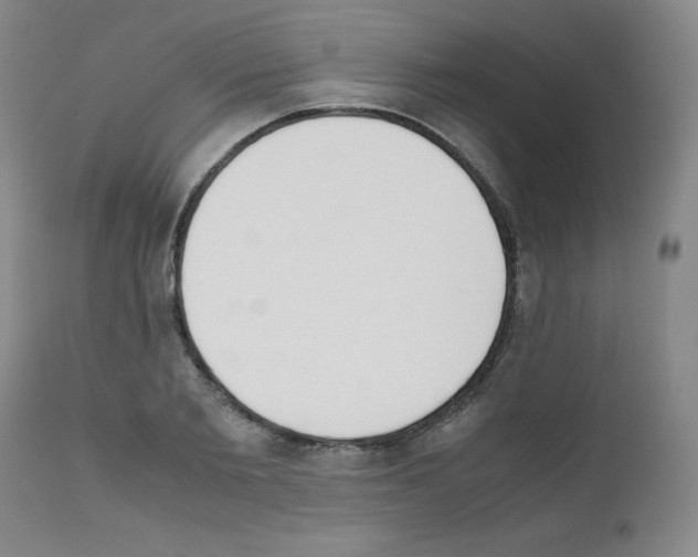X0000111780885200909031131