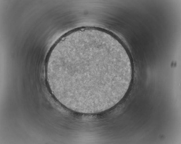 X0000111780887200909031131