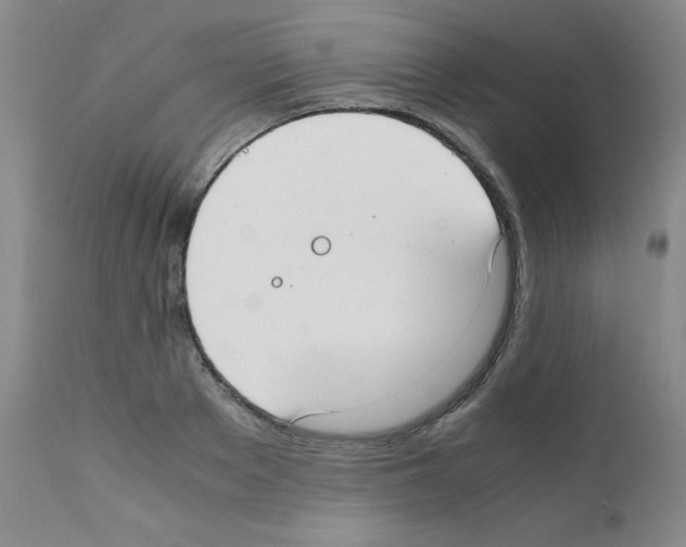 X0000111780889200909031130