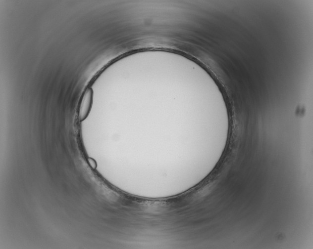 X0000111780893200909031130