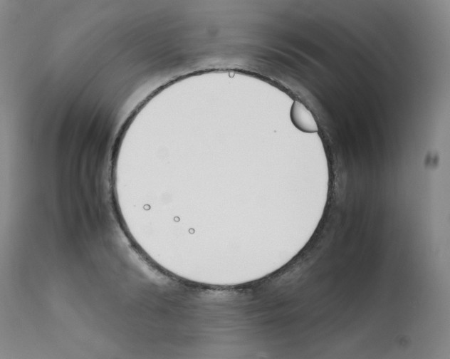X0000111780894200909031130