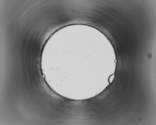 X0000111780896200909031130