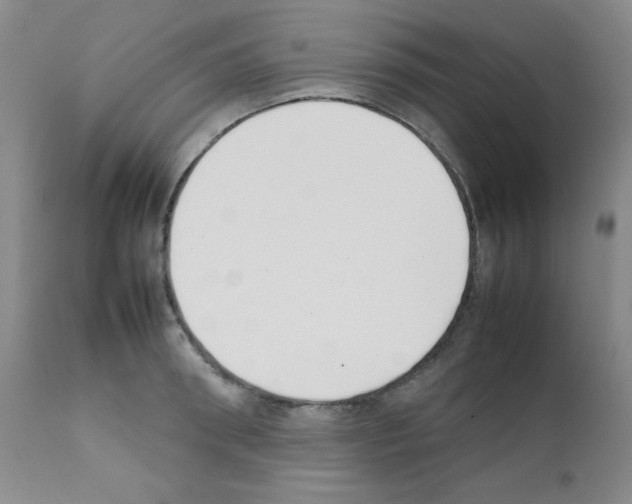 X0000111780898200909031130