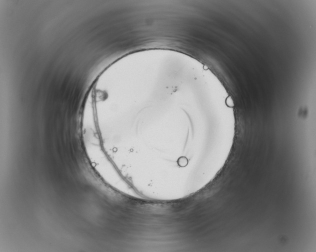 X0000111780900200909031130