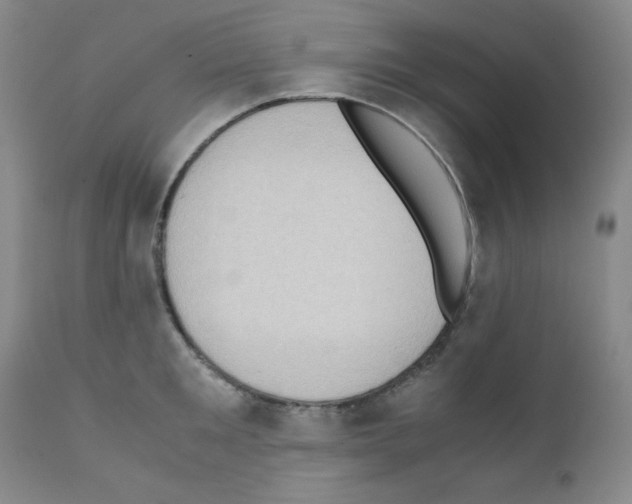 X0000111780901200909031130