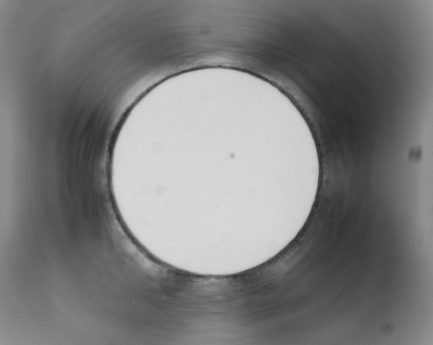 X0000111780902200909031130