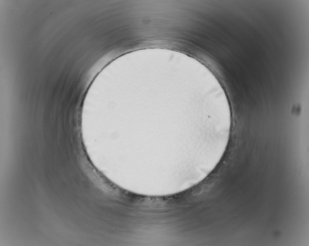 X0000111780907200909031130