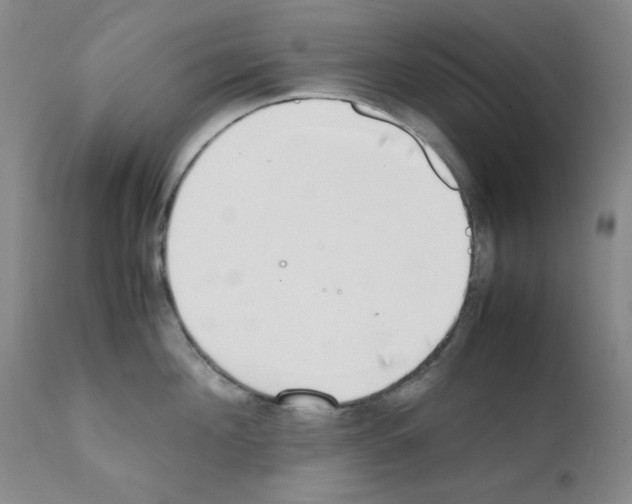 X0000111780908200909031130