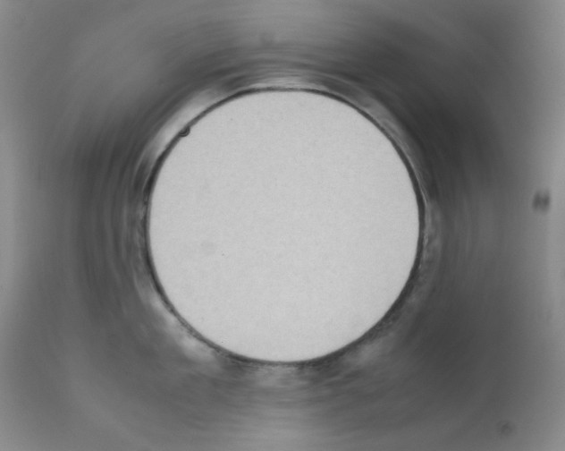 X0000111780909200909031130