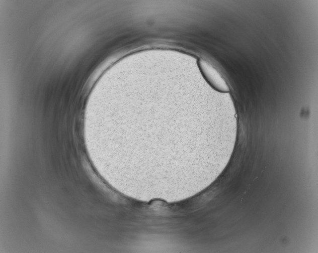 X0000111780911200909031130