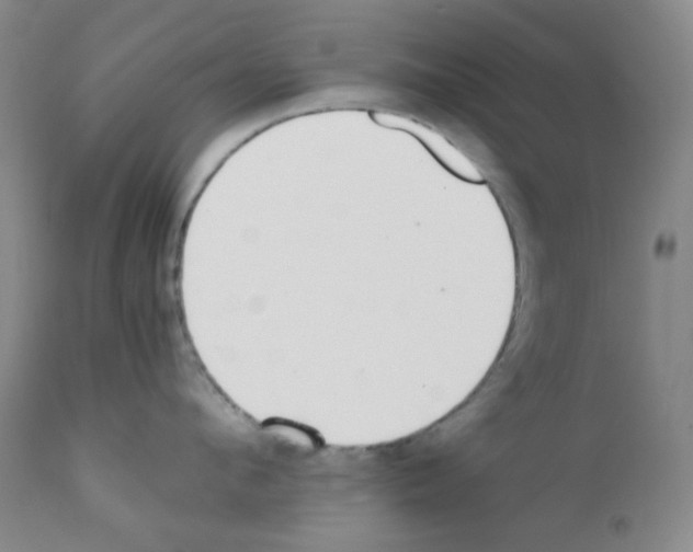 X0000111780912200909031130