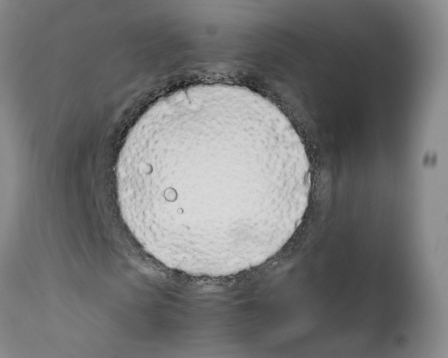 X0000111780913200909031130