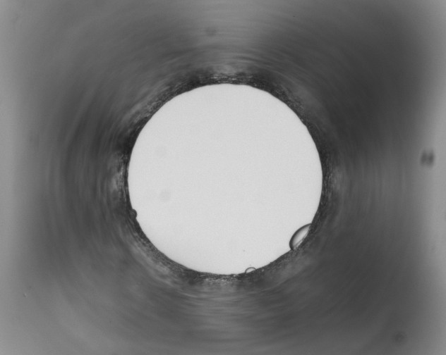 X0000111780914200909031130