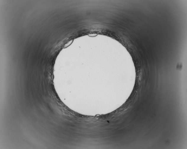 X0000111780916200909031130