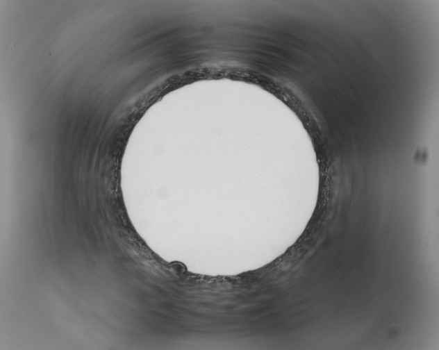 X0000111780919200909031130