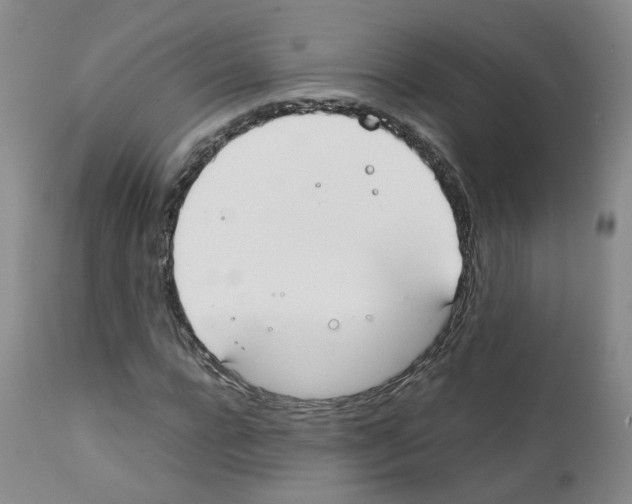 X0000111780920200909031130