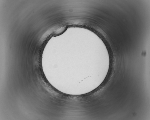 X0000111780922200909031130