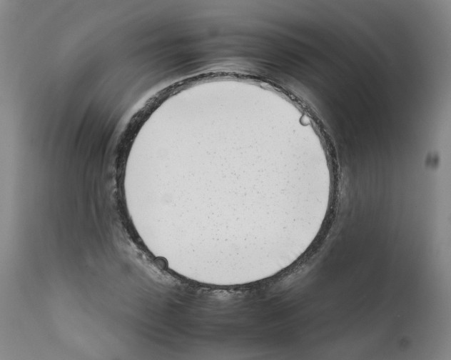 X0000111780923200909031130