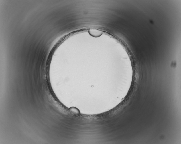X0000111780924200909031130