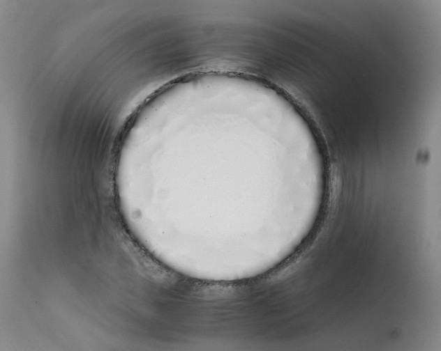 X0000111780925200909031130